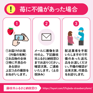 2027年4月より順次発送予定 いちご 2kg 以上 いちご