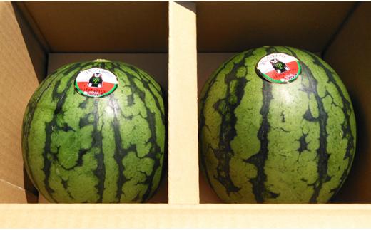 小玉 すいか 2玉 入り 1玉1.5kg 以上 西瓜