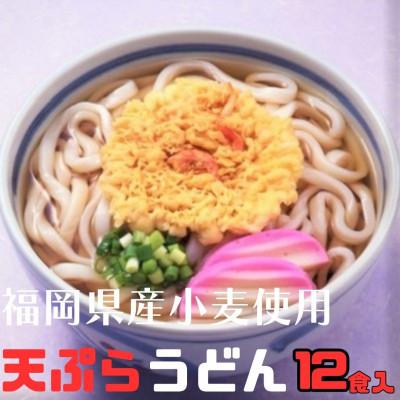 ふるさと納税 豊前市 【毎月定期便】天ぷらうどん 12食入り×全6回