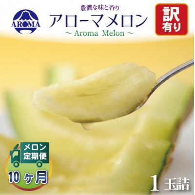 【毎月定期便】【訳あり】アローマメロン 1玉　全10回【配送不可地域：離島・北海道・沖縄県】