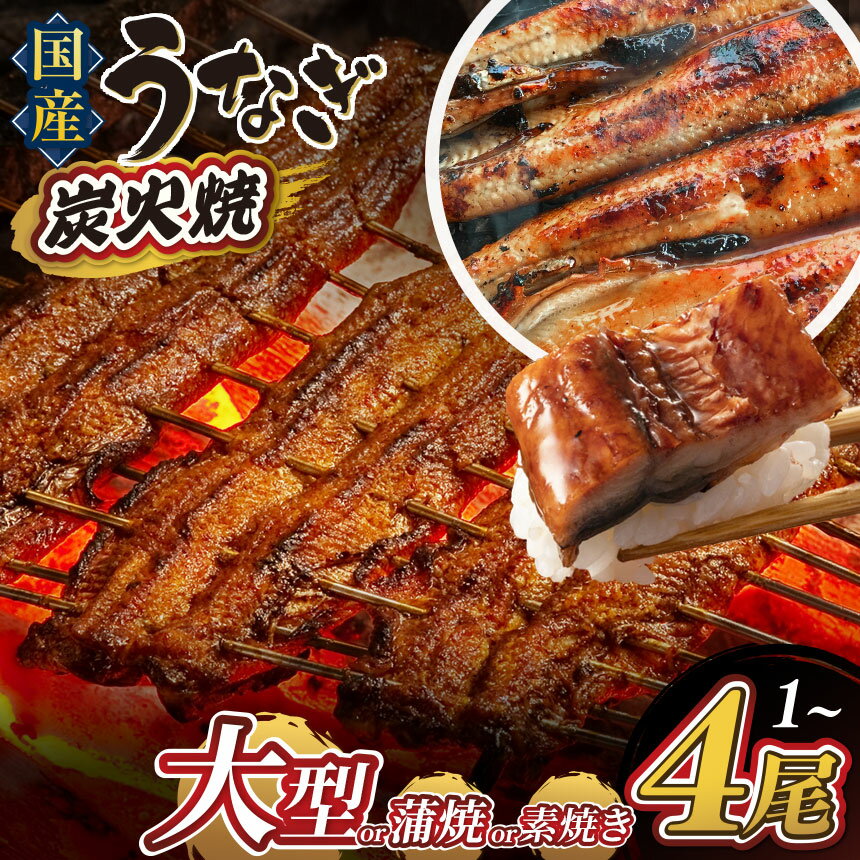 【ふるさと納税】 選べる 数量限定 国産 蒲焼 素焼きうなぎ 1尾 ～ 4尾 訳あり 特大｜ うなぎ 土用の丑の日 素焼き 蒲焼 魚 贅沢 九州 タレ焼き 熊本県産 鹿児島県産 熊本県 和水町