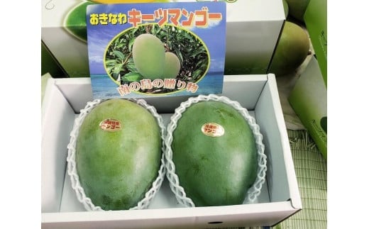 
            【先行受付】【2025年発送】キーツマンゴー 南城市 約1kg (1～2玉)
          