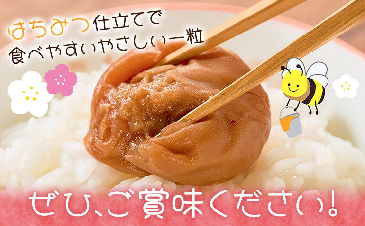 紀州南高梅 つぶれ梅 はちみつ漬 塩分8％ 1パック400g×3パック 株式会社味季屋《30日以内に出荷予定(土日祝除く)》和歌山県 日高町 梅 梅干し 南高梅 はちみつ梅---wsh_ajk6_30