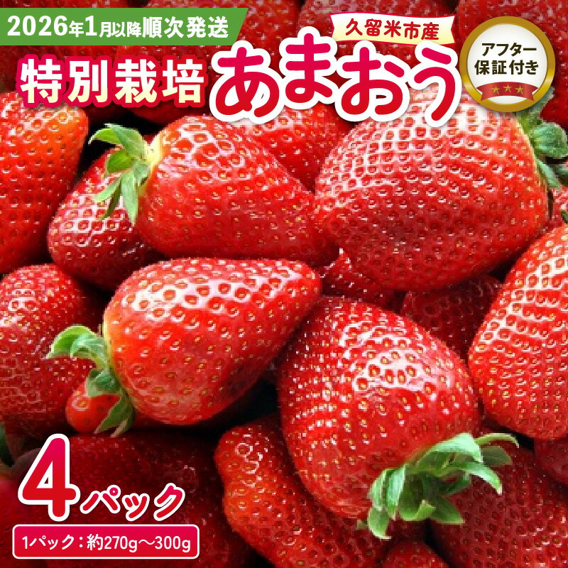 【ふるさと納税】【先行受付！2026年1月以降お届け】いちご あまおう 約 270g ～ 300g × 4P 大粒 濃厚 甘い 特別栽培 安心 安全 冷蔵 果物 フルーツ ストロベリー アフター保証 スイーツ ケーキ スムージー ジャム デザート 福岡県産 ふくおかエコ農産物 久留米 送料無料