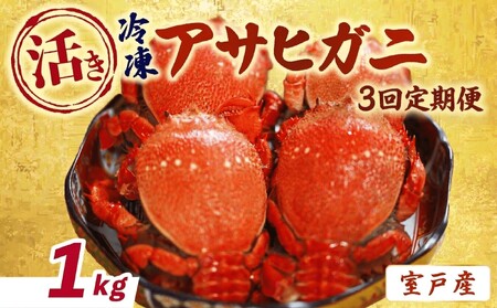 【3回 定期便 活冷凍 アサヒガニ 約１㎏ 】 アサヒガニ あさひがに 朝日蟹 蟹 かに カニ 活冷凍 活き 生 姿 冷凍 セット 詰め合わせ パスタ 味噌汁 焼ガニ 魚介類 海鮮 海の幸 産地直送 産直 旬 晩御飯 夕食 おかず 酒の肴 おつまみ 贅沢 自宅用 家庭用 お取り寄せ 美阿丸 高知県 室戸市