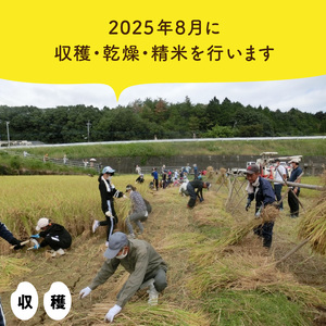 S128-002A_熊本県天草産 早期新米 コシヒカリ 5㎏〈令和6年産 先行受付〉 