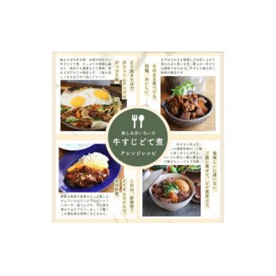 ふるさと納税 春日井市 【レトルト食品】牛すじどて煮(150g×10パック) | 惣菜 おかず お惣菜 おそうざい 冷凍食品 |  | 02
