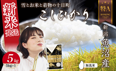 【新米発送】 無洗米 令和7年産 新潟県 魚沼産 コシヒカリ お米 5kg 精米済み（お米の美味しい炊き方ガイド付き） こめ 白米 新米 こしひかり 食品 人気 おすすめ 送料無料 魚沼 十日町 十日町市 産直