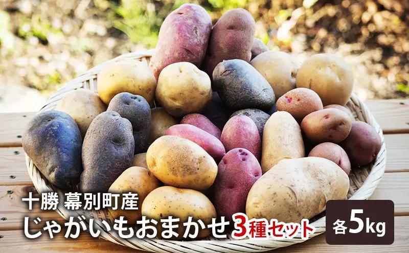 先行予約 じゃがいも 15kg おまかせ3種セット