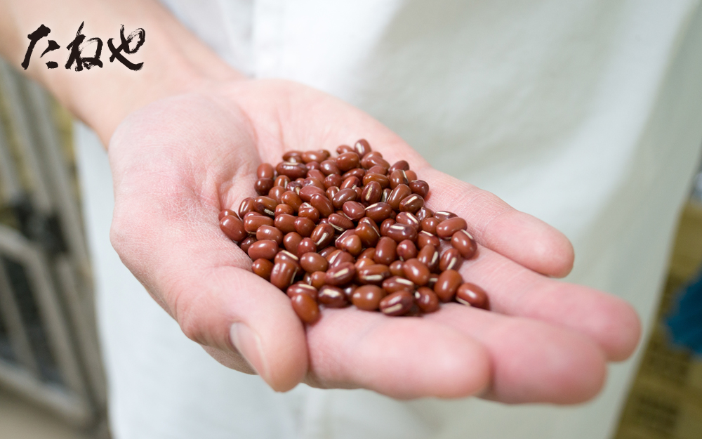 【たねや】本生羊羹 冬味　9個入　BN28