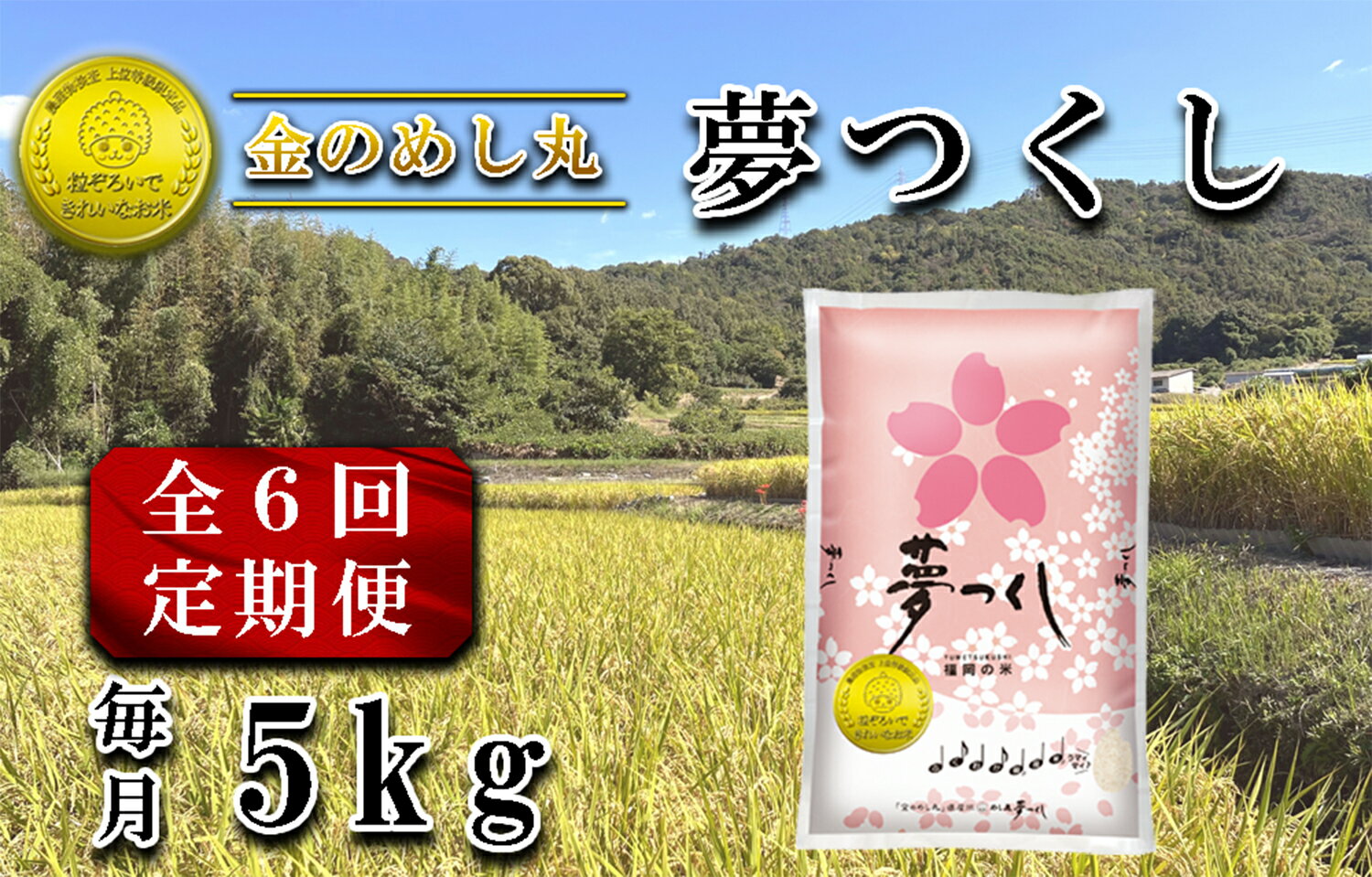【ふるさと納税】【定期便6回】令和7年米　金のめし丸夢つくし 5Kg（1袋）×6回_CE-104