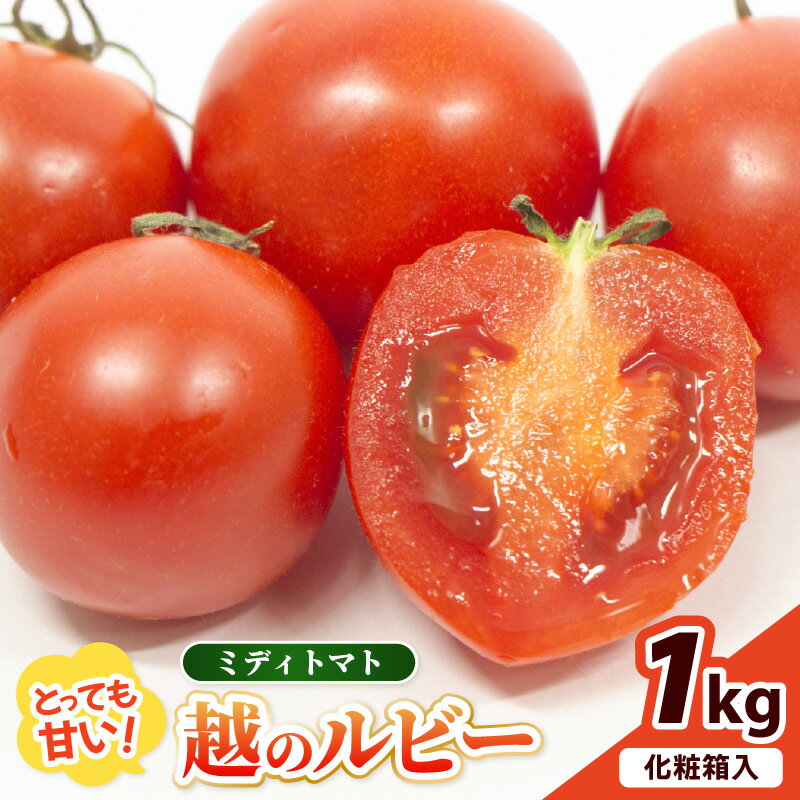 【ふるさと納税】【先行予約】坂井市砂丘地のとっても甘い フルーツトマト 越のルビー 1kg 化粧箱入り 【2025年10月上旬以降順次発送】【トマト ミニトマト 野菜 人気 新鮮 産地直送 甘い 高糖度 食べやすい リコピン ビタミン ダイエット 美容 美肌 ギフト 贈り物 贈答】