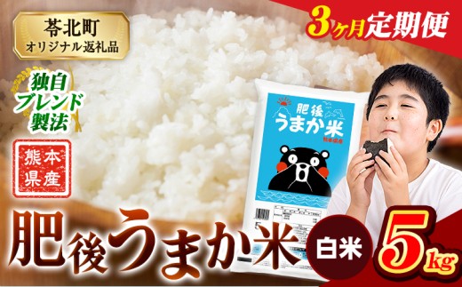 【3か月定期便】米  熊本県産 肥後うまか米 5kg 白米 精米 こめ コメ お米 おこめ ブレンド米《申込月の翌月から出荷開始》熊本県産 コメ お米 おこめ