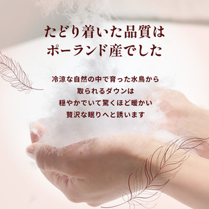 羽毛布団 ポーランドダックダウン85% シングル 羽毛布団