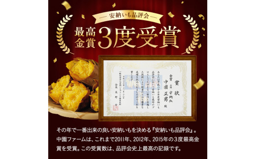 種子島 安納 焼いも 【たくさん 入った 業務 サイズ ＋ ギフト サイズ】計4.4ｋｇ　NFN181 【375pt】 // 焼き芋 焼いも 焼芋 やきいも 安納芋 安納いも 熟成 安納焼きいも 安納