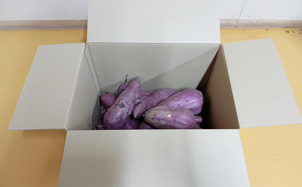  茨城県産 熟成さつまいも ( 紅はるか ) SS〜3Lサイズ訳アリ7kg ( 箱入り )【 紅はるか さつまいも サツマイモ おやつ スイーツ 甘味 デザート 訳アリ 訳あり 10000円 茨城県 