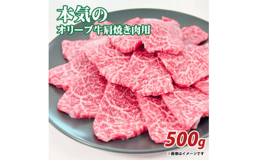 M04-2001_本気のオリーブ牛肩焼肉用500g