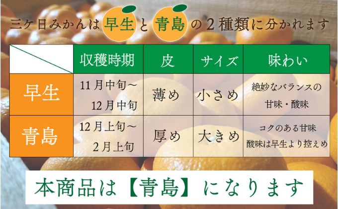 先行予約【2025年1月上旬より順次発送】陽だまりファーム 三ヶ日 青島 みかん 3kg 1箱