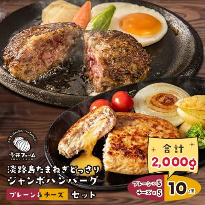 ふるさと納税 淡路市 淡路島たまねぎどっさりジャンボハンバーグ プレーン&amp;チーズセット 200g×10個　ai01885