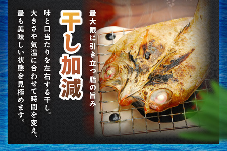 山陰浜田 香住屋のこだわり干物「のどぐろ・水かれい・あじ一夜干し」 魚介類 魚貝類 干物 干もの 一夜干し 干物セット お祝い (のどぐろ のどぐろ のどぐろ のどぐろ のどぐろ のどぐろ のどぐろ 