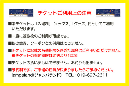 大人から子どもまで本気で遊べる！やはばアスレチックパークjampaland(ジャンパランド)利用券　500円券×4枚/アスレチックパーク jampaland ジャンパランド トランポリン スポンジピッ