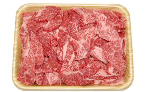 
                  ＜8月から寄附額改定＞【訳あり】飛騨市産 5等級飛騨牛 盛り合わせパック ごちゃまぜ ミックス 800g 
                