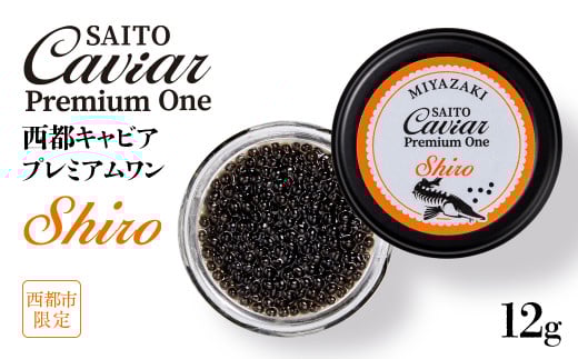 「SAITO CAVIAR PREMIUM ONE SHIRO」12g　西都市オリジナルキャビア　鮎のよしの＜3.8-1＞