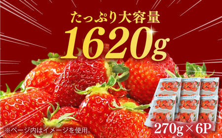 【2025年2月上旬より発送】あまおうDX等級 3ケース（270g×6パック） 苺 イチゴ いちご 福岡 フルーツ 広川町 / JAふくおか八女農産物直売所どろや[AFAB073]