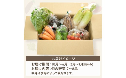 【3回定期便】 朝採れ新鮮！ 野菜セット(7～8品) | 定期便 野菜 セット 新鮮 野菜 人気 旬 季節の野菜 おすすめ キャベツ きゅうり 里芋 大根 トマト セット 詰め合わせ 森尾商店 高知県