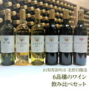 【ふるさと納税】北野呂醸造6品種のワイン飲み比べセット ふるさと納税 ワイン 笛吹市 山梨ワイン 酒 アルコール 山梨県 記念品 お祝い 送料無料 146-002