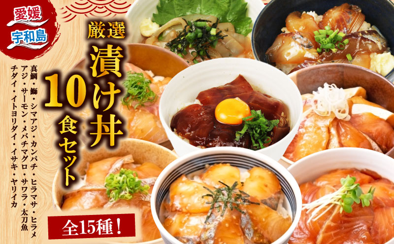 ＼10営業日以内発送／ 漬丼 厳選 活締め 全15種 お任せ 漬け丼 10食 セット 南予ビージョイ 真鯛 鰤 シマアジ カンパチ ヒラマサ ヒラメ アジ サーモン メバチマグロ サワラ 太刀魚 チダイ イトヨリダイ イサキ ヤリイカ 食べ比べ づけ丼 人気 加工品 新鮮 水産品 漬け 刺身 海鮮 海鮮丼 数量限定 愛媛 宇和島 D017-150021