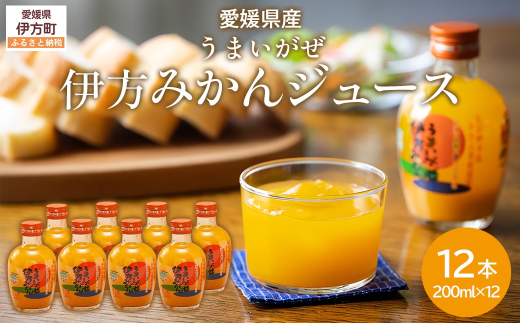 【先行予約】【愛媛県産】うまいがぜ伊方みかんジュース（200ml×12本） ストレート果汁100％ （入金確認後、準備が出来次第発送） IKTI006
