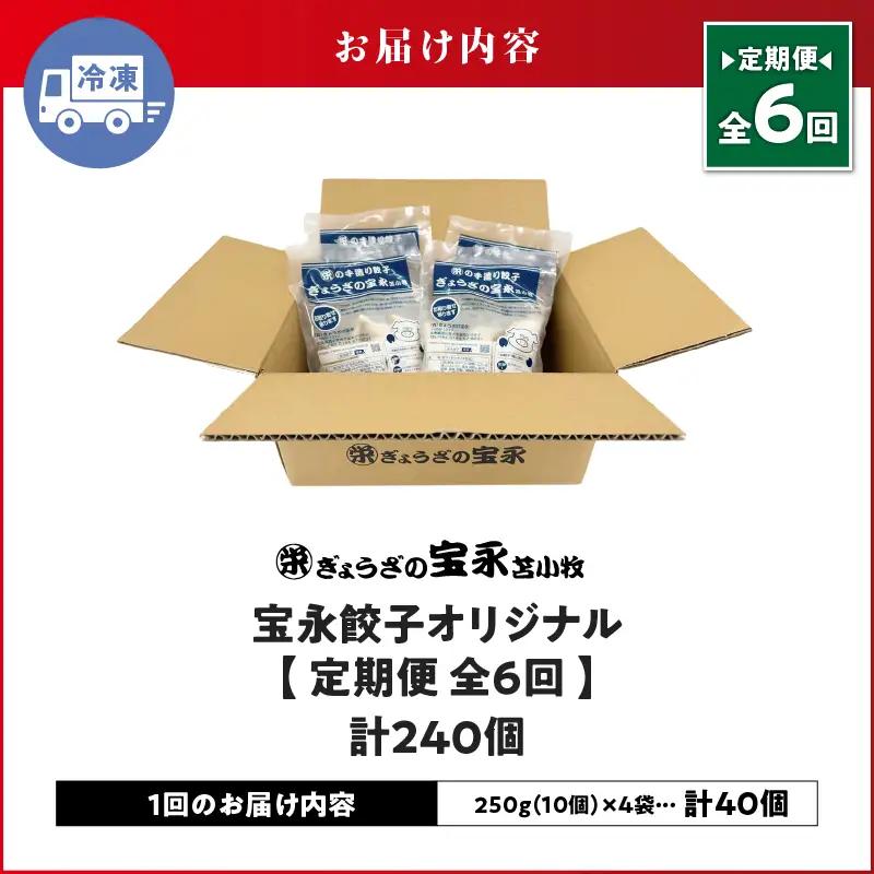 【 全6回 定期便 （ 毎月 ） 】 宝永 餃子 10個入 セット （ 宝永餃子 10個入 × 4袋 ） 合計 1.0kg T004-T03-04 惣菜 総菜 加工食品