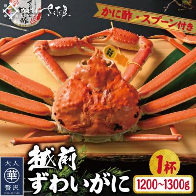 ふるさと納税 越前町 浜茹で越前ずわい1200〜1300g　1杯　かに酢&amp;かにスプーン付き