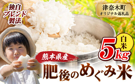 白米 肥後のめぐみ 5kg 精米