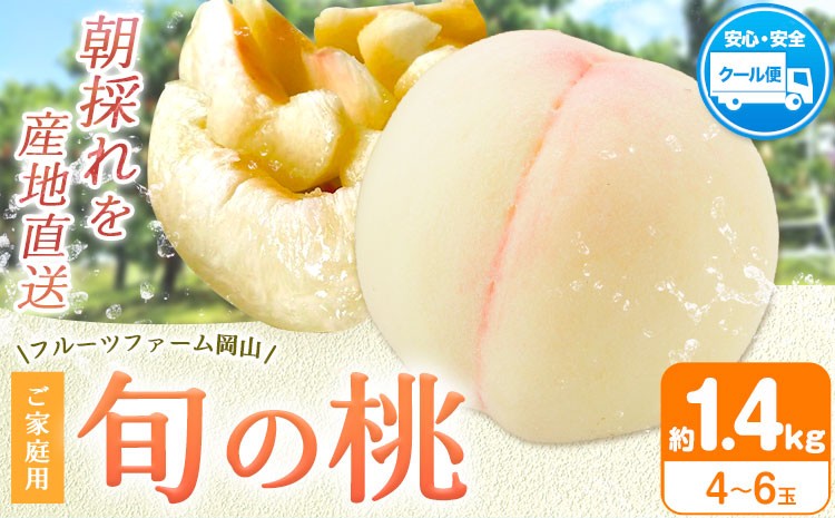 
                  桃  もも【2026年先行予約】桃 旬 旬の桃 ご家庭用 1.4kg (4～6玉) フルーツファーム岡山《2026年6月下旬-8月下旬頃出荷》岡山県 浅口市 送料無料 フルーツ モモ 果物 青果 旬 国産 岡山県産【配送不可地域あり】
                