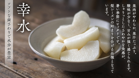 梨 2種 ( 幸水 ＆ 豊水 各5kg 合計10kg ) 定期便 セット 2025年産 先行予約 なし ナシ 赤梨 食べ比べ 食べくらべ [AE022ci]