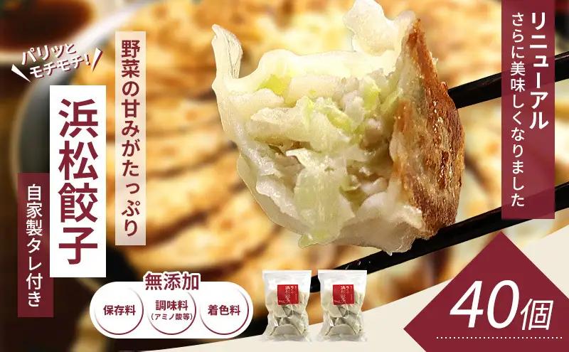 餃子 浜松 40個 20個×2袋 知久屋 詰め合わせ 国産 餃子
