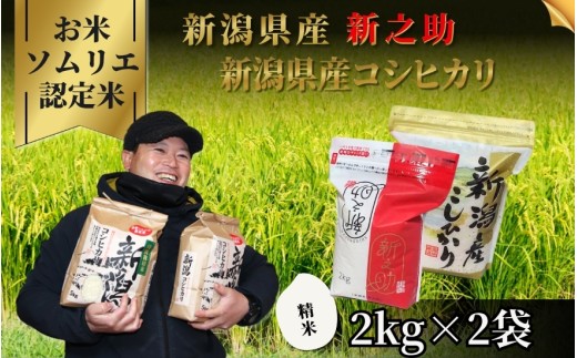 【先行予約】令和8年産【お米ソムリエのお米】食べ比べ精米セット 4kg（コシヒカリ2kg、新之助2kg）新潟県 五泉市 エバーグリーン農場
