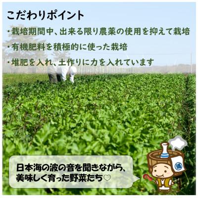 ふるさと納税 あわら市 農家直送 旬の野菜セット 7品目以上 1箱 |  | 01