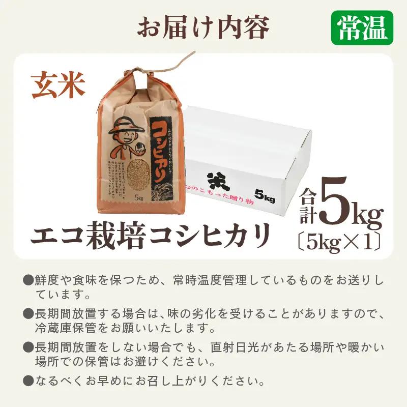 【先行予約】【令和8年産 新米】エコ栽培コシヒカリ　玄米5kg ／ 鮮度抜群 福井県産 こしひかり ご飯 新鮮 玄米 ※2026年10月上旬以降順次発送 [aw063-a013]