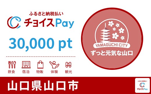 
            山口市チョイスPay 30,000pt【会員限定のお礼の品】
          