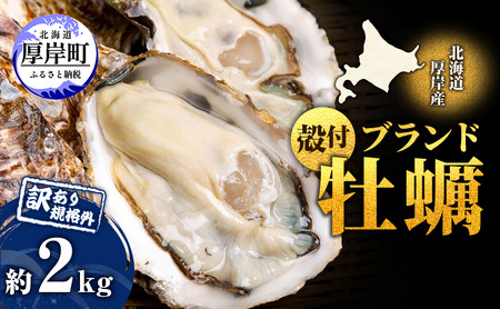 4月配送【他月は別ページ】 訳あり 厚岸産牡蠣 約2kg 規格外 ブランド牡蠣