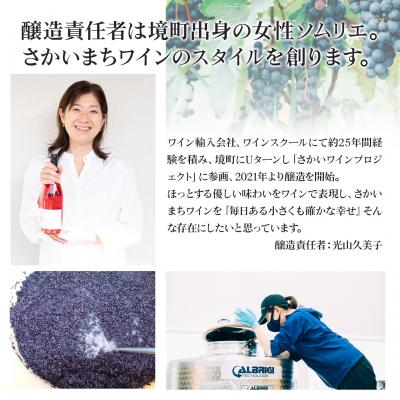 ふるさと納税 境町 【リンゴの果実酒 ハードサイダー 6本セット】330ml×6本 さかいまちワイナリー |  | 01