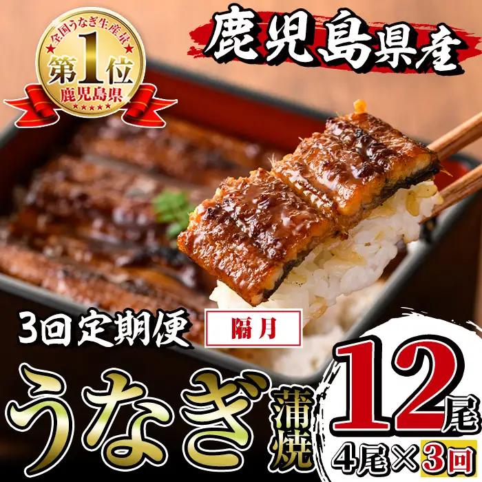 i1083-B ＜定期便・計3回(隔月)＞鹿児島県産うなぎ蒲焼4尾セット＜(約140g×4・計約560g)×全3回＞ うなぎ 鰻 ウナギ 4尾 蒲焼き 国産 鹿児島県産 焼きたて 生産量日本一 真空パック おかず 晩御飯 特別な日   定期便 【薩摩川内鰻】