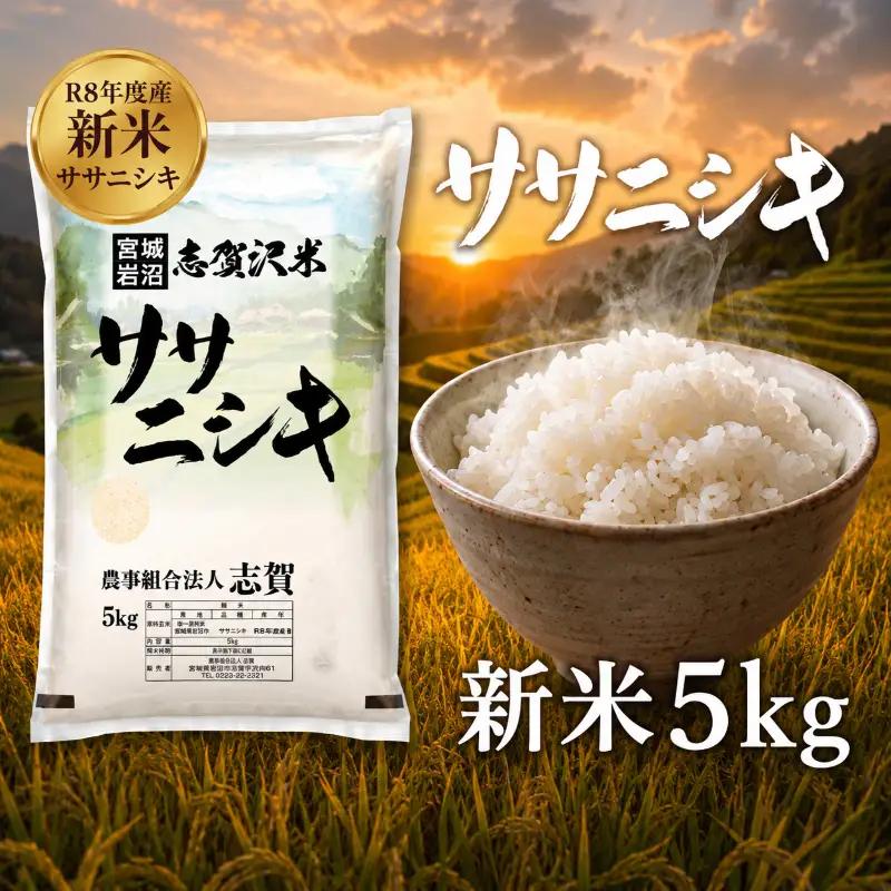 新米 令和8年産 ササニシキ 5kg  精米