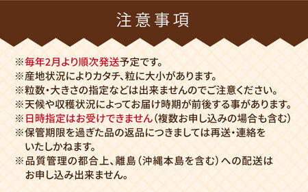 【先行予約】【全2回定期便】【2025年2月より順次発送】糸島産【春】 あまおう 6パック 毎月計1.5kg 糸島市 / 南国フルーツ株式会社 [AIK027] いちご 苺 イチゴ あまおう 果物 フ