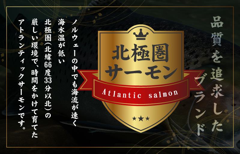 北極圏サーモン ポーション 1kg【高級 小分け 海鮮丼 人気 オススメ 小分け 冷凍 簡単調理 一人暮らし】 015B288