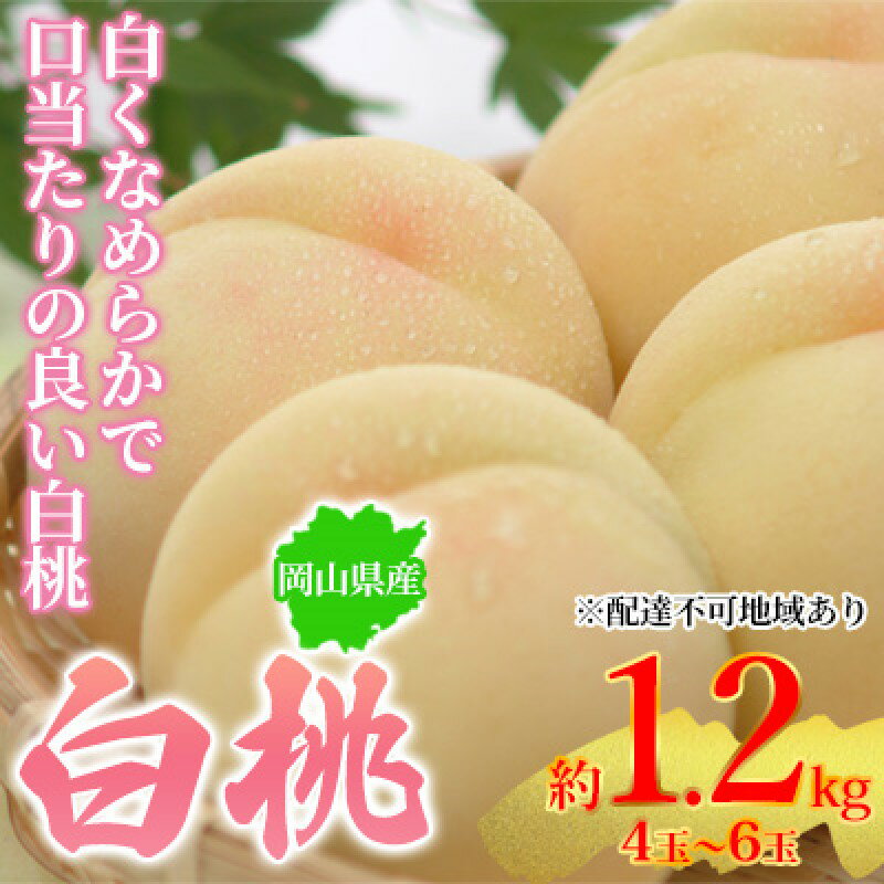 【ふるさと納税】桃 2026年先行予約 岡山県産 白桃 約1.2kg 4～6玉 お届け 7月上旬～7月下旬　お届け：2026年7月上旬～2026年7月下旬