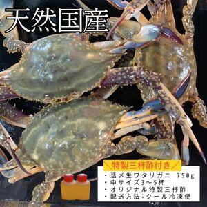 活〆 生 ワタリガニ (中) 750g 3~5杯 冷凍 特製 三杯酢付き セット 旬 期間限定 オス メス 海鮮 魚貝 魚介 わたりがに ワタリガニ
